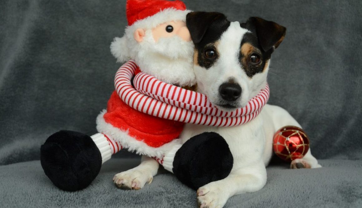 help december komt er weer aan