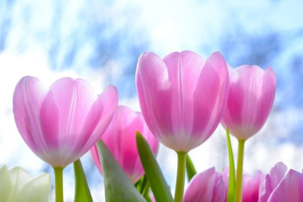 hoe zorg je voor verbinding en verdieping in je relatie